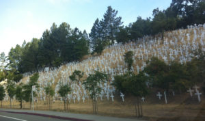 Lafayette, CA Hillside Memorial