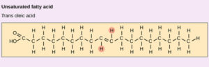 Trans-fats have the hydrogen atoms on opposite sides of the double bond. The result is a straighter molecule that tends to plug up our natural enzymes causing health problems. Since this shape is not found in nature, our bodies are not equipped to digest them.