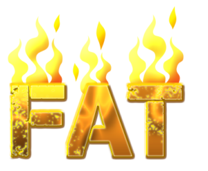 Fat is hot topic this year. Plastic surgery statistics show that fat grafting to the buttocks, the Brazilian Butt Lift, is the fasting growing cosmetic plastic surgery procedure.